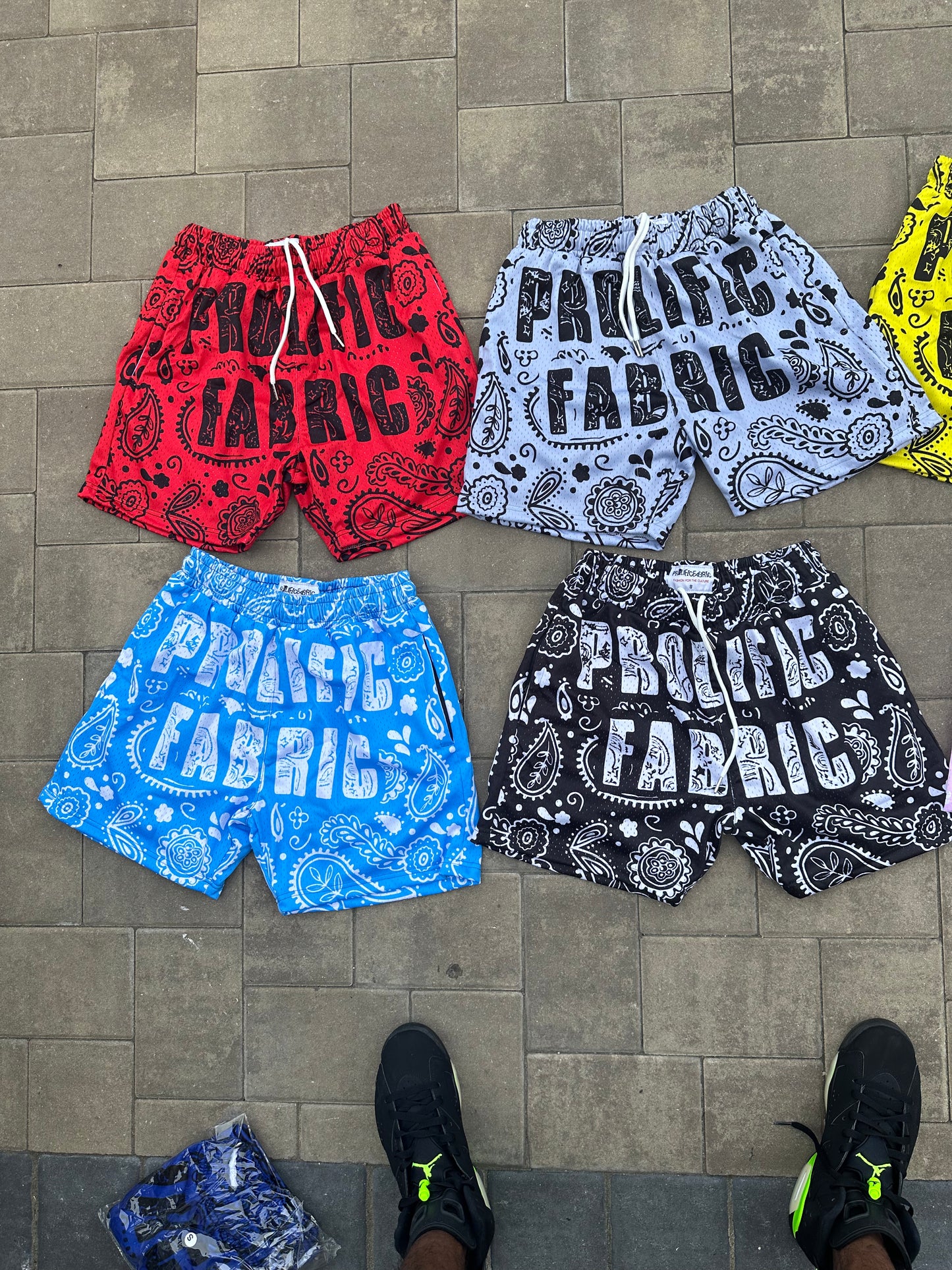 PROLIFIC PAISLEY PRINT SHORTS
