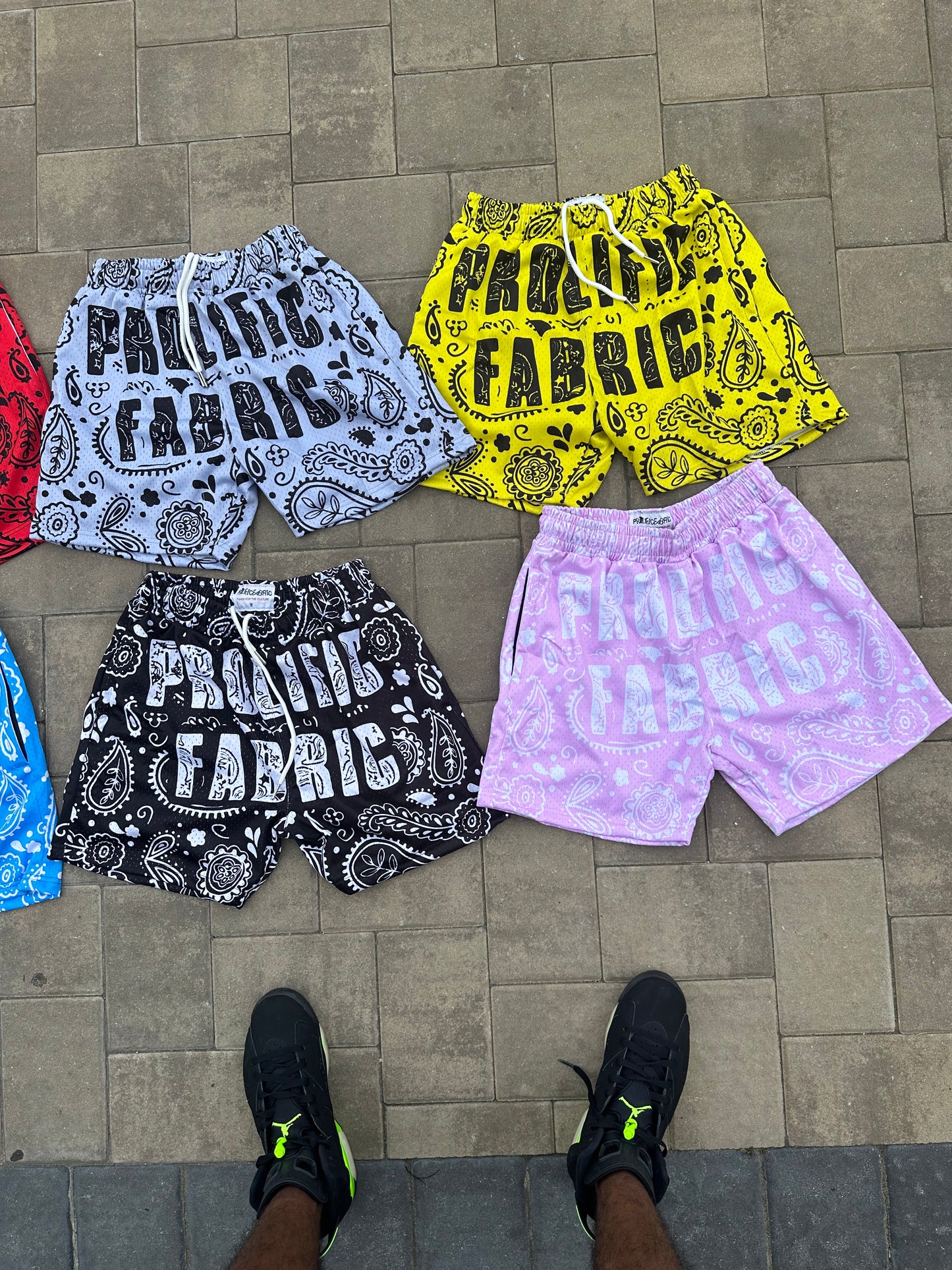 PROLIFIC PAISLEY PRINT SHORTS