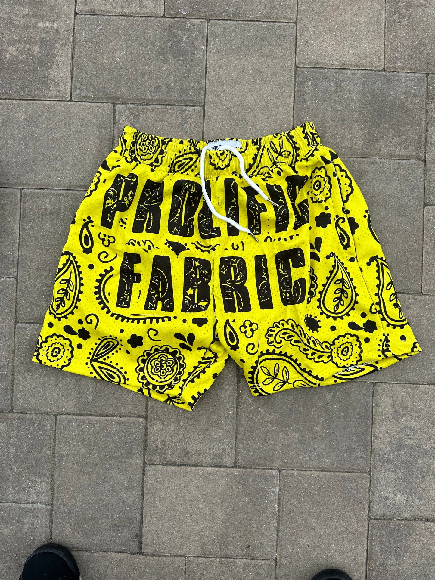 PROLIFIC PAISLEY PRINT SHORTS