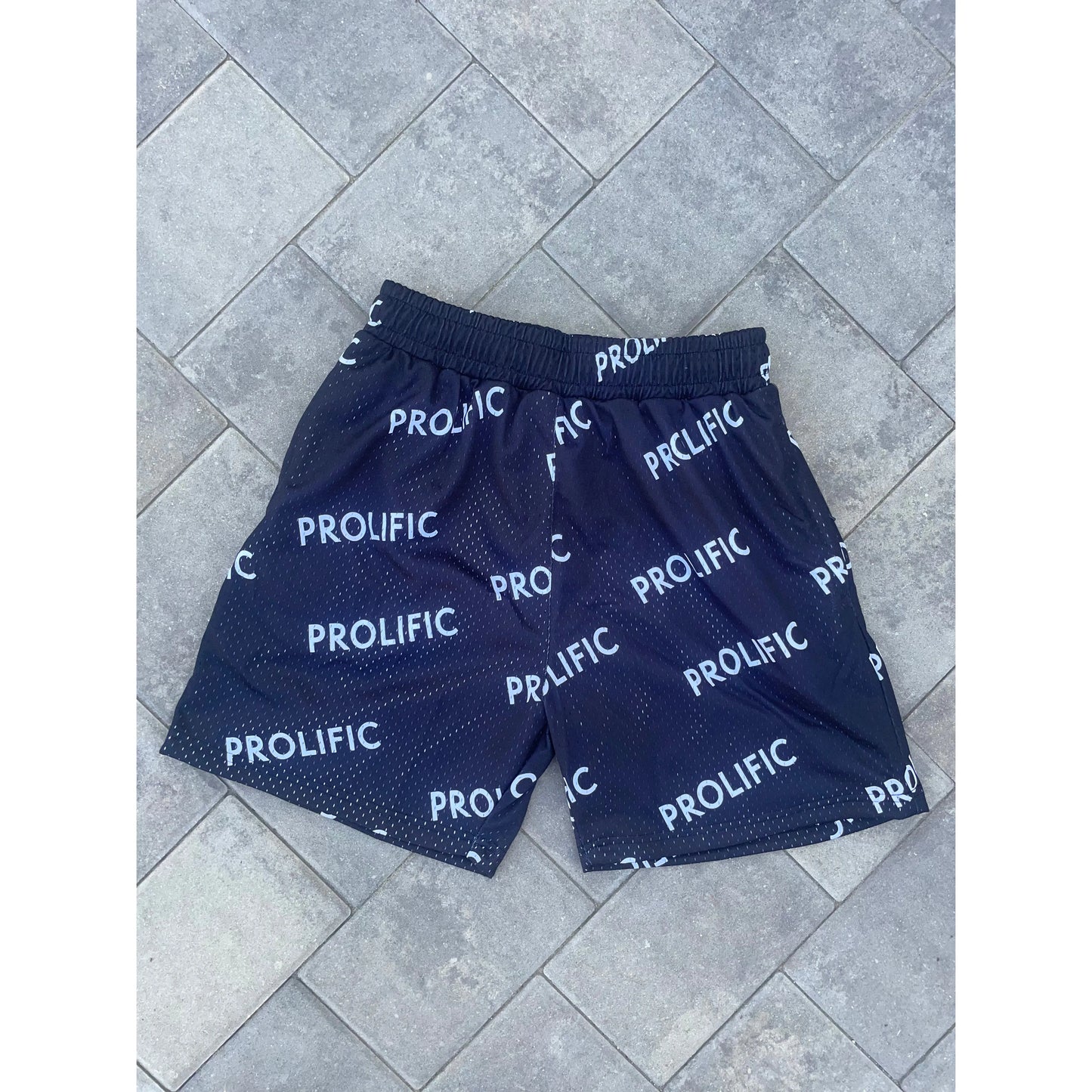 PROLIFIC BOLD SHORTS