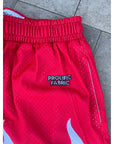 PROLIFIC FLAME SHORTS