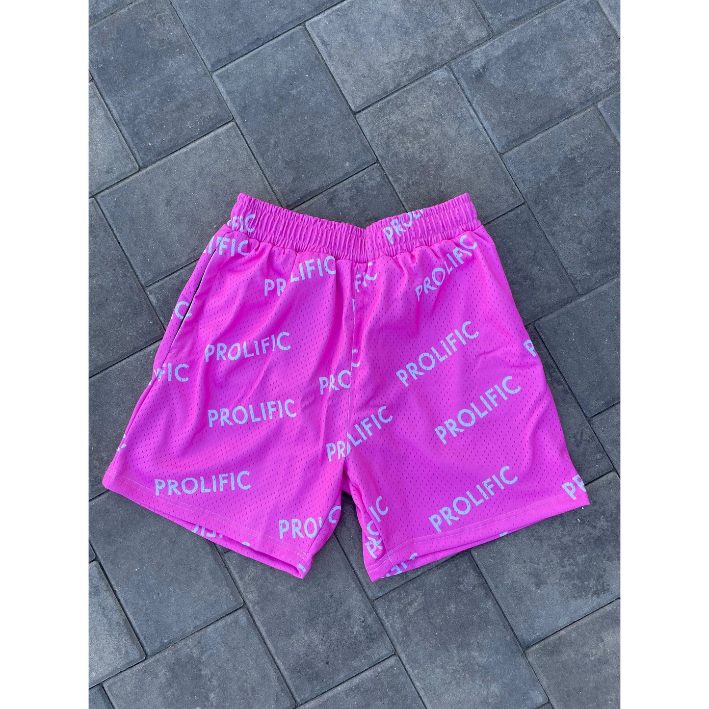 PROLIFIC BOLD SHORTS