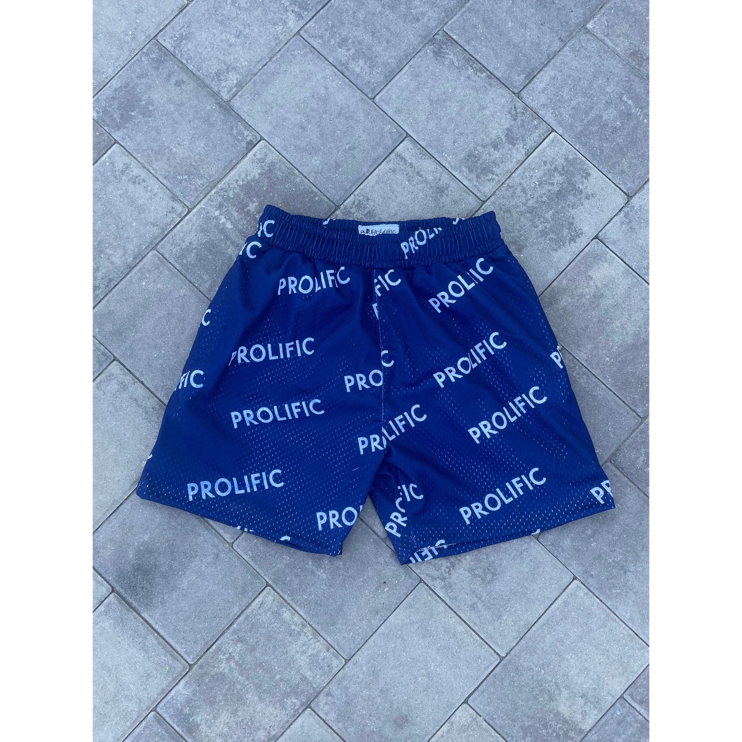 PROLIFIC BOLD SHORTS