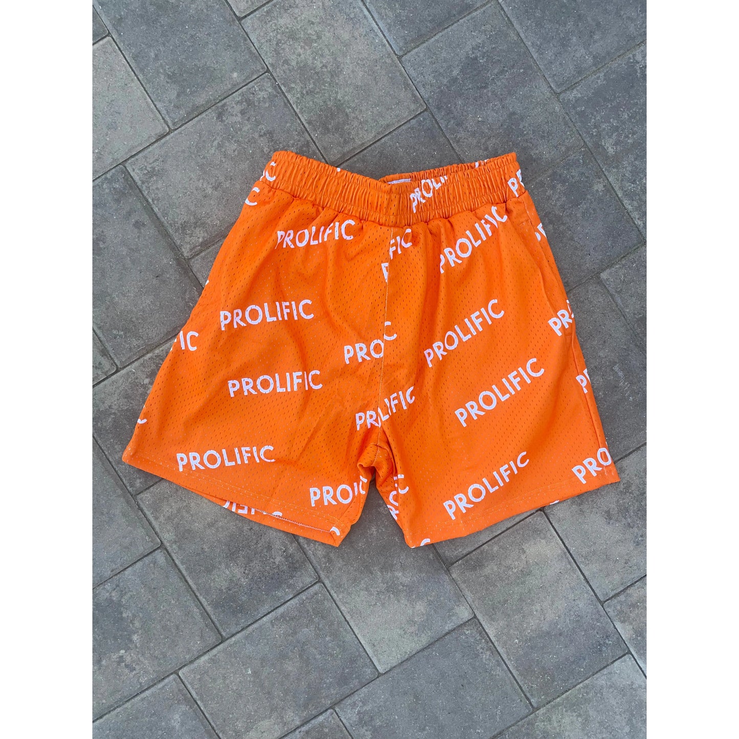 PROLIFIC BOLD SHORTS