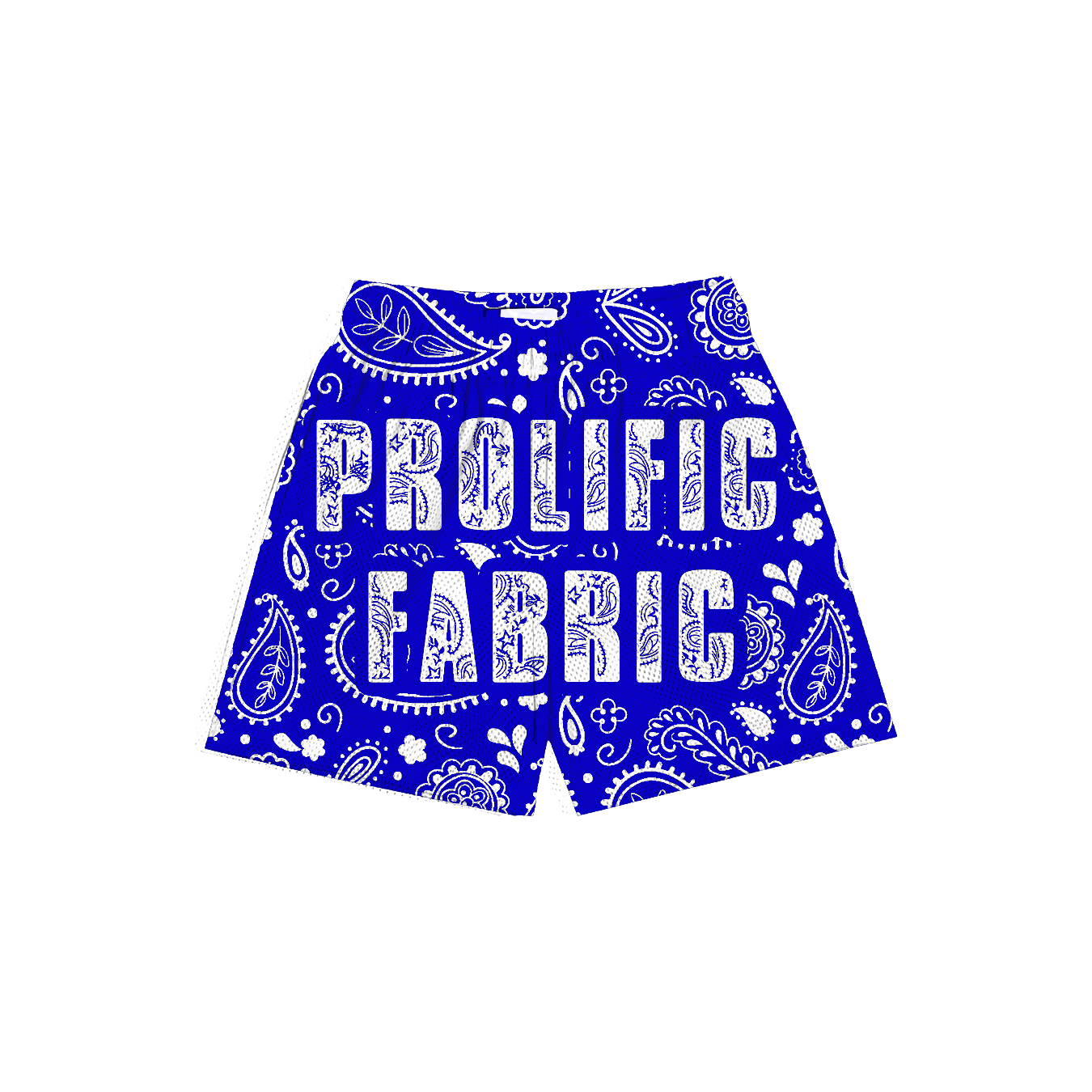 PAISLEY PRINT SHORTS