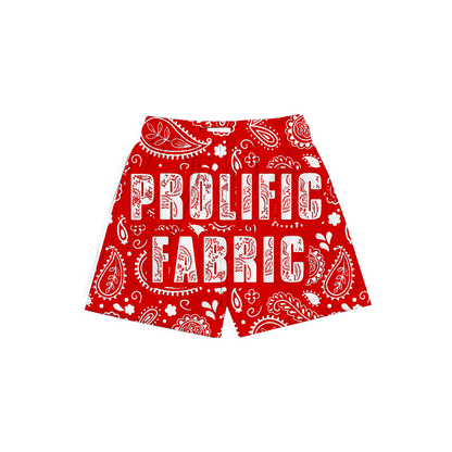 PAISLEY PRINT SHORTS