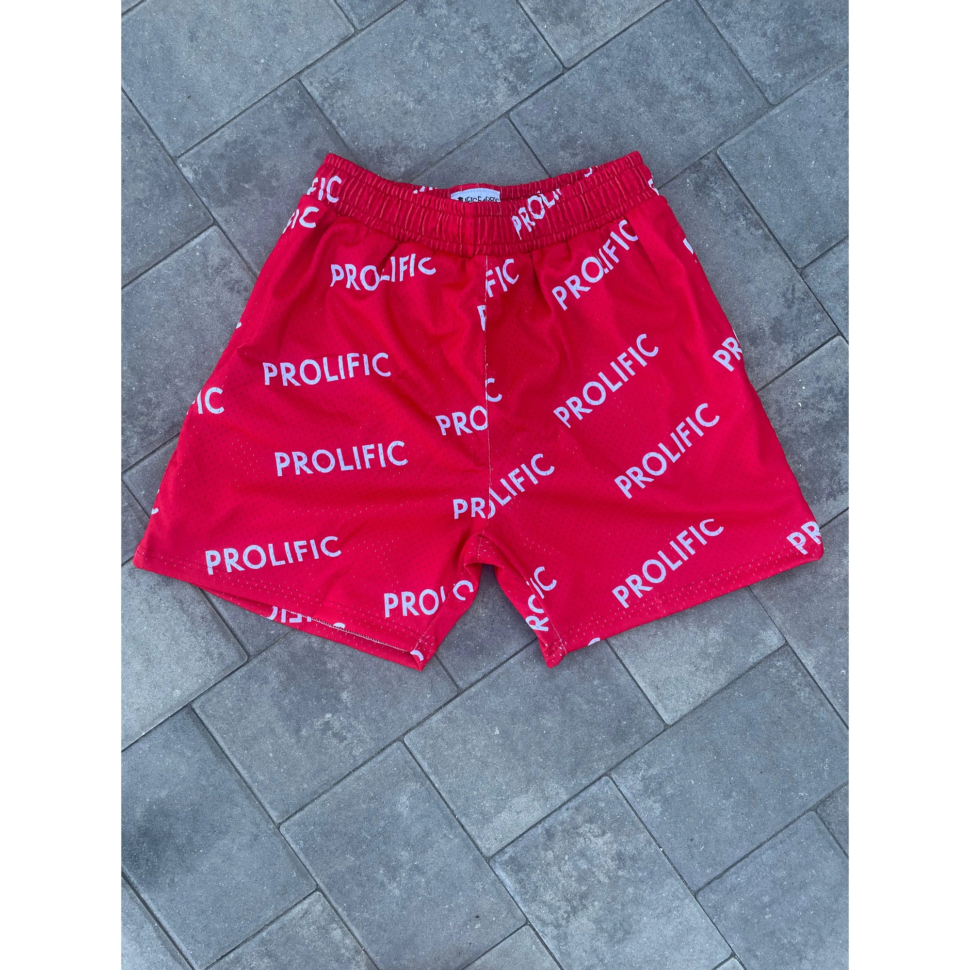 PROLIFIC BOLD SHORTS
