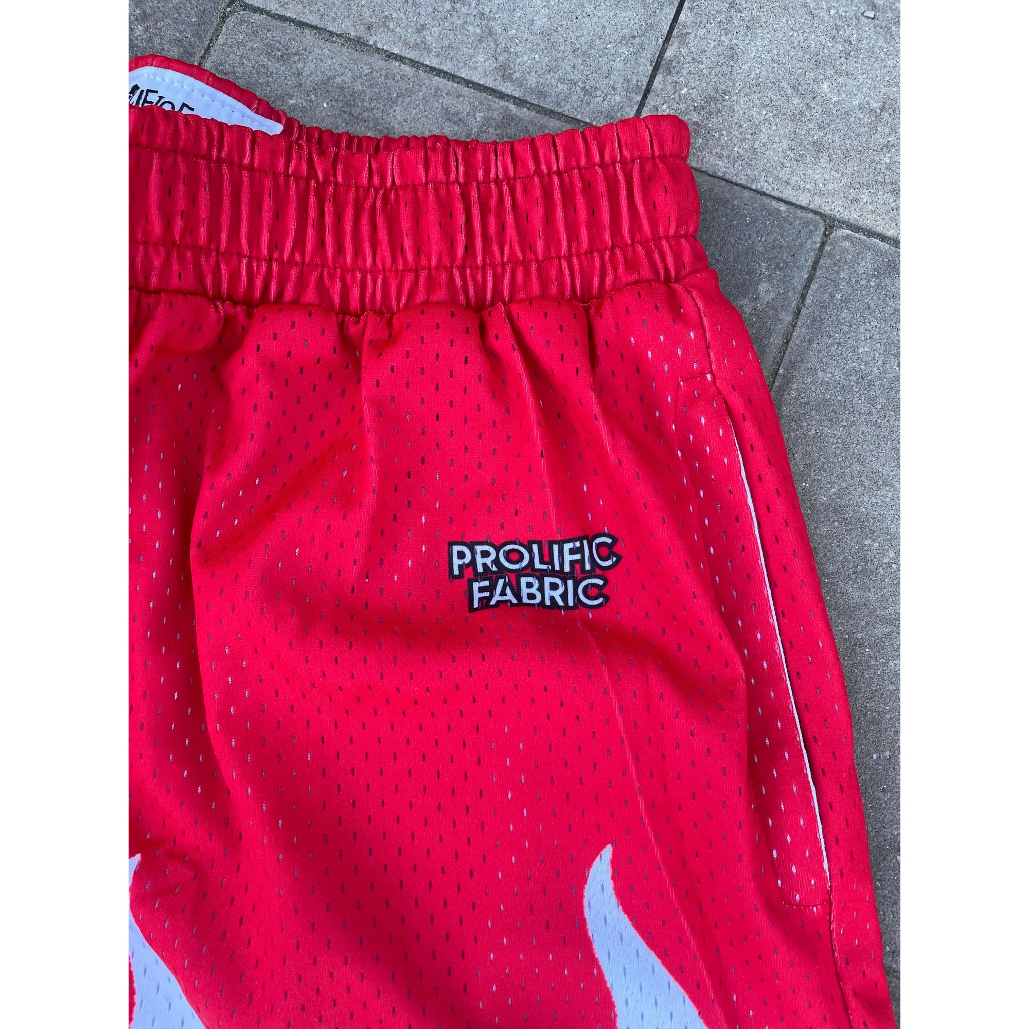 PROLIFIC FLAME SHORTS