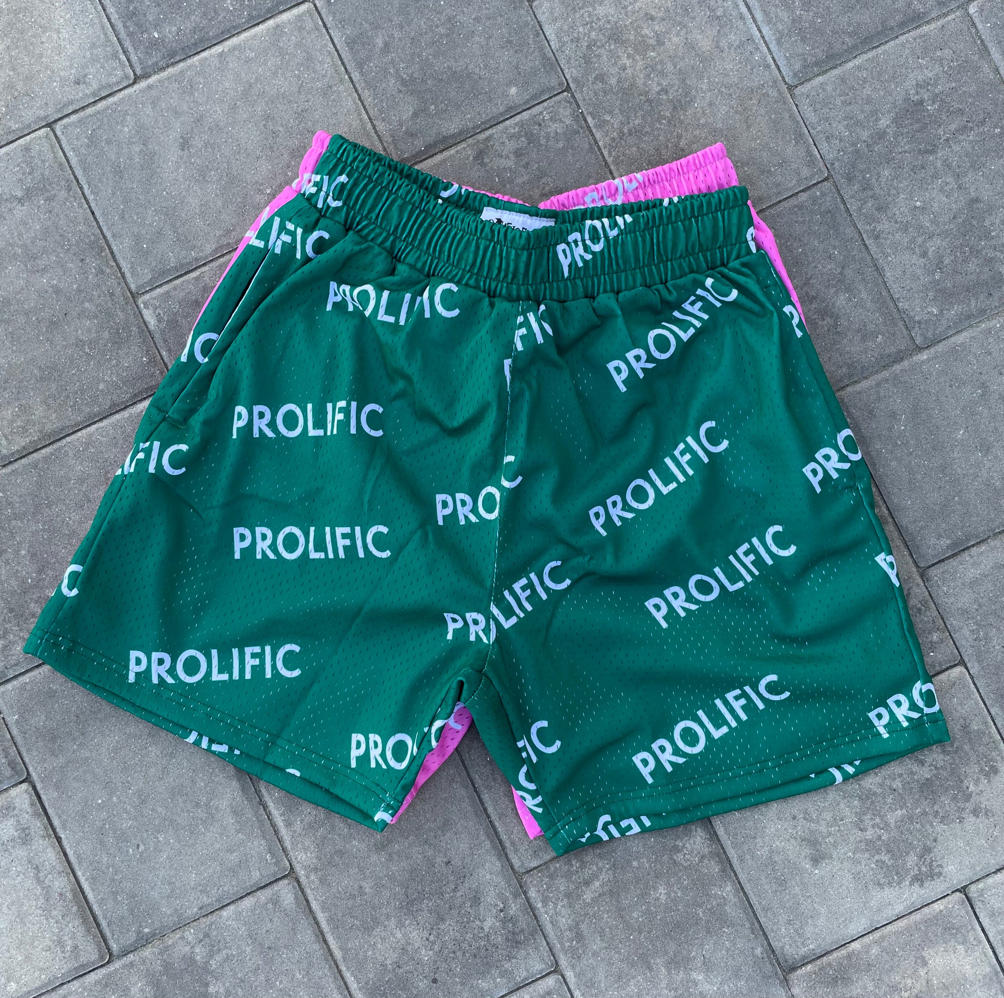 PROLIFIC BOLD SHORTS