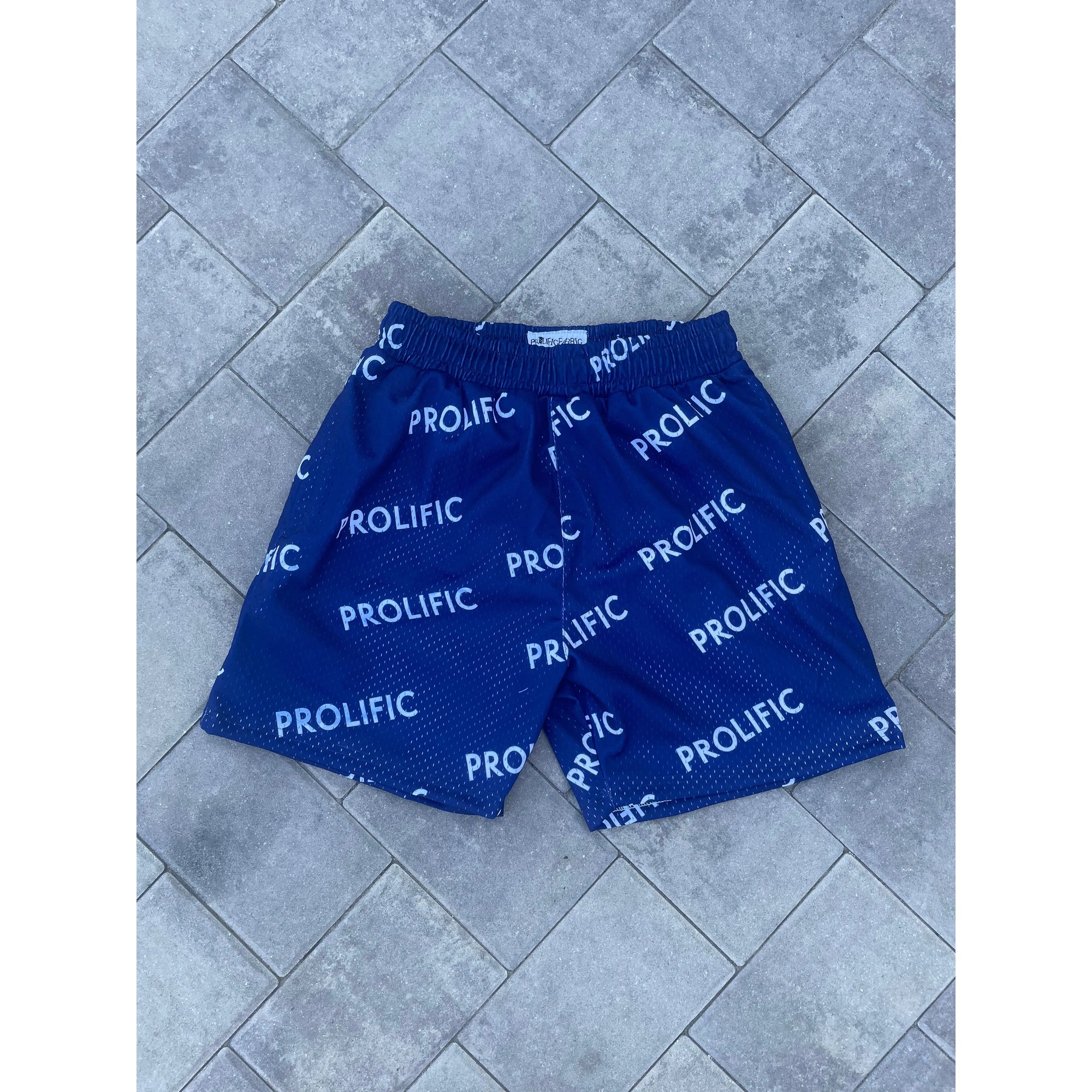 PROLIFIC BOLD SHORTS